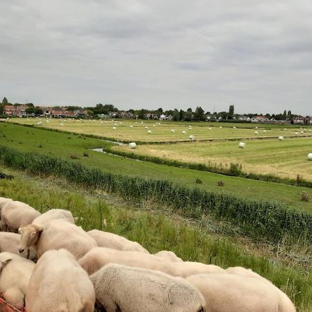 B & B Tulp Amsterdam Noord Eksteriør bilde