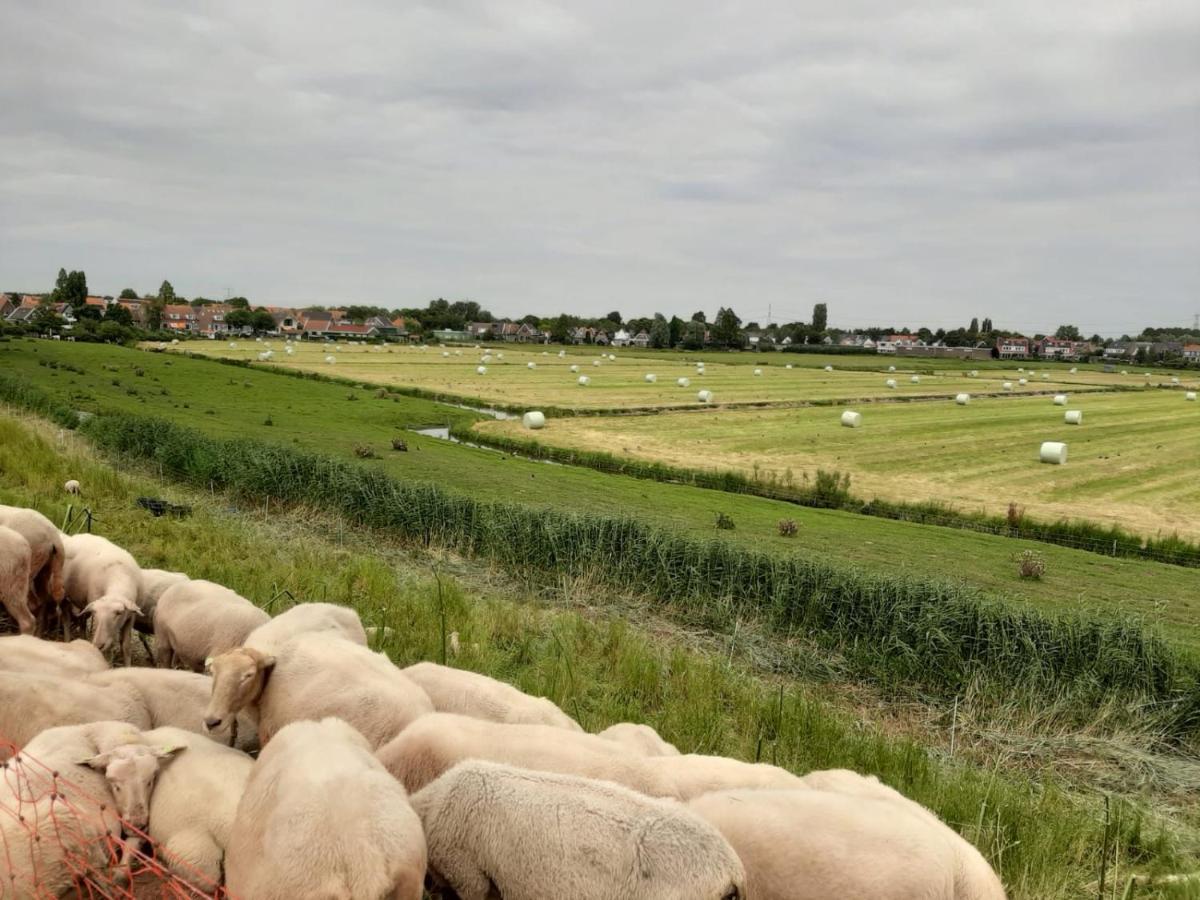 B & B Tulp Amsterdam Noord Eksteriør bilde